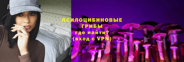 не бодяженный Алексин