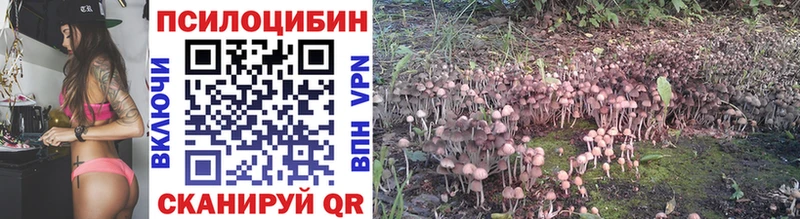 Псилоцибиновые грибы прущие грибы  Осинники 