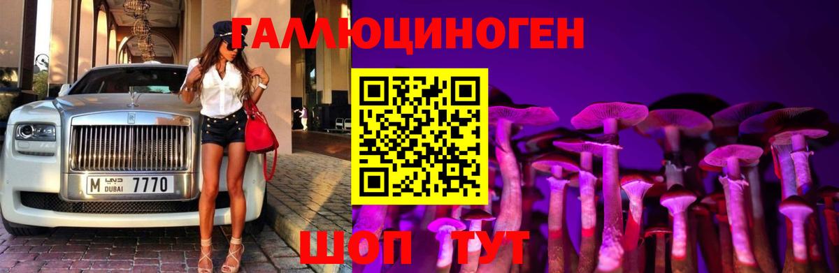 Галлюциногенные грибы Psilocybine cubensis  Псилоцибиновые грибы GOLDEN TEACHER  Вход с VPN  Осинники 